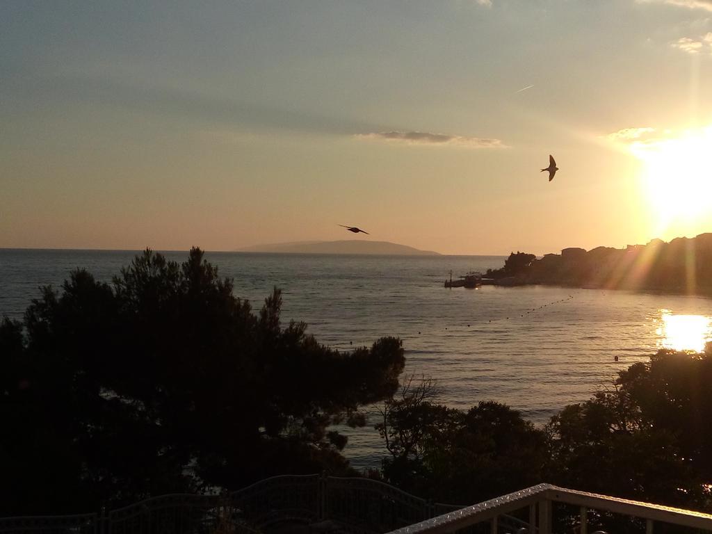 Guesthouse Kod Irene Gradac  Eksteriør bilde